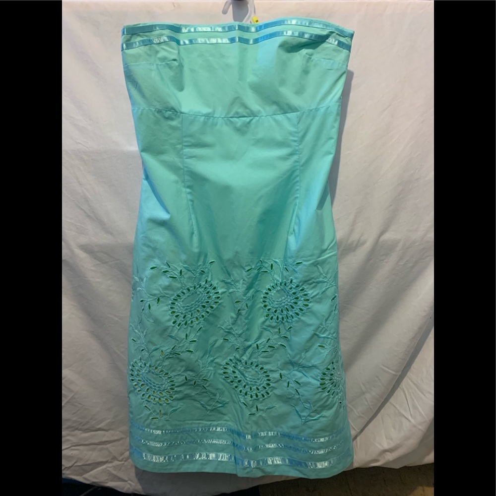 Express strapless dress